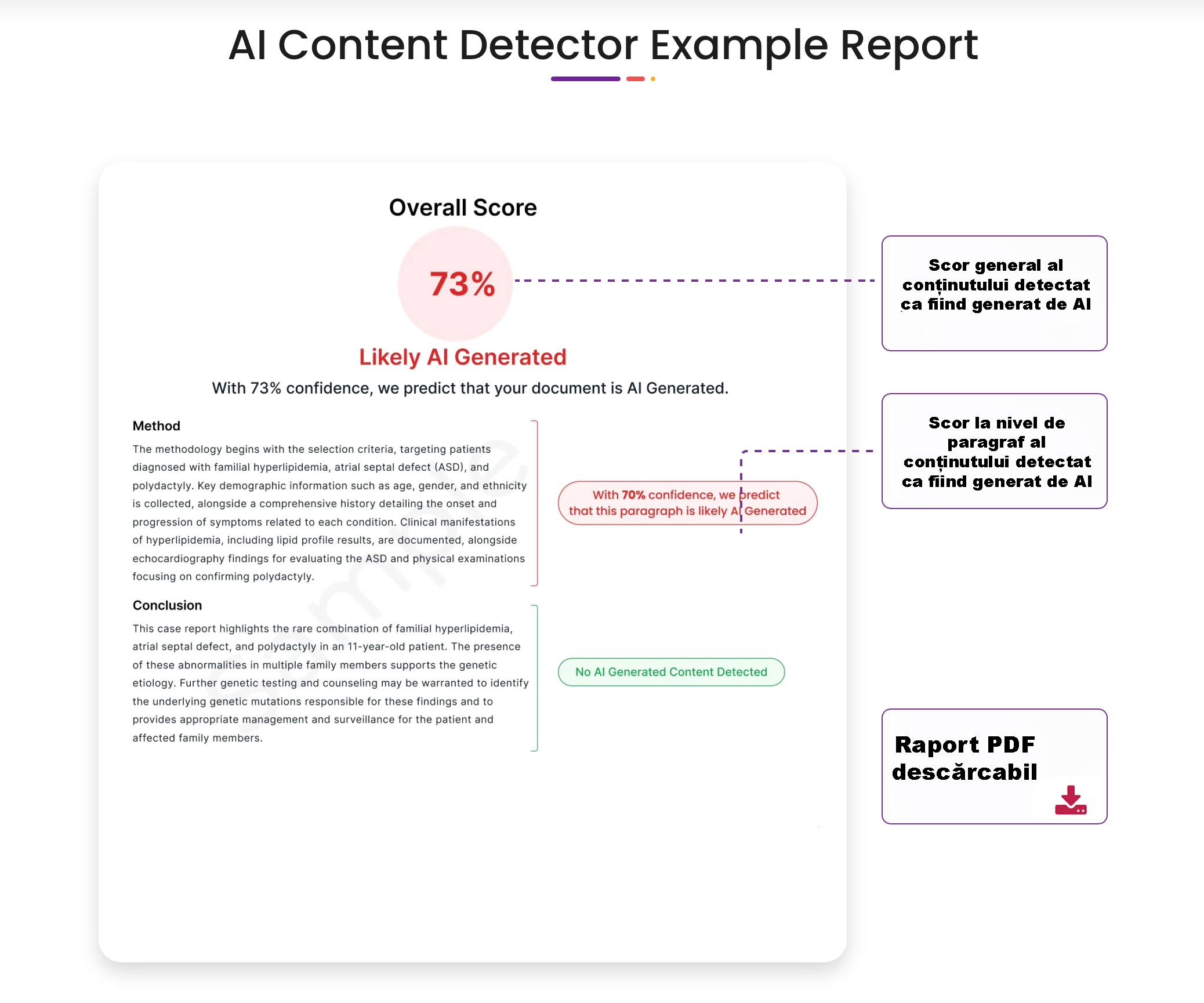 Identificare conținut generat AI