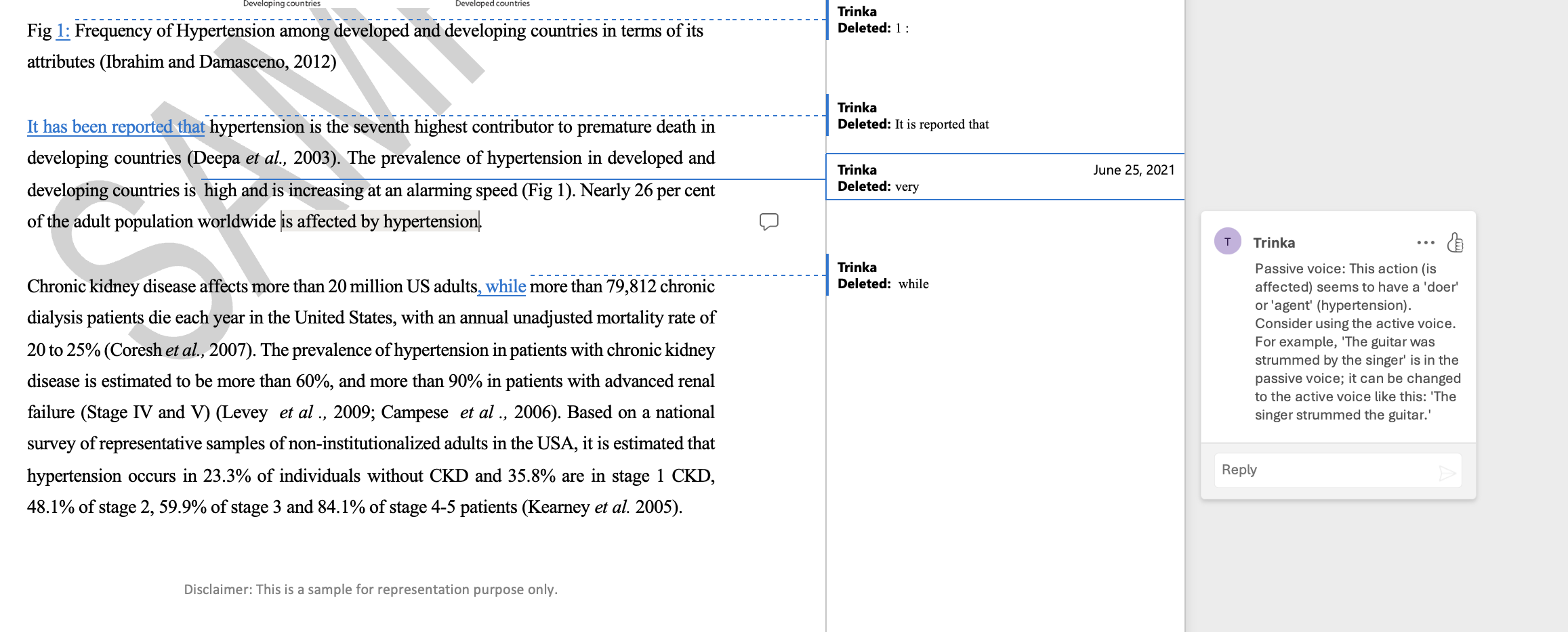 Revizuire și corectare academică (3)